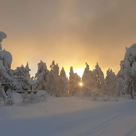 Ro I Sjelen. Hytte Til Leie Pa Skrim. Kongsberg Eksteriør billede