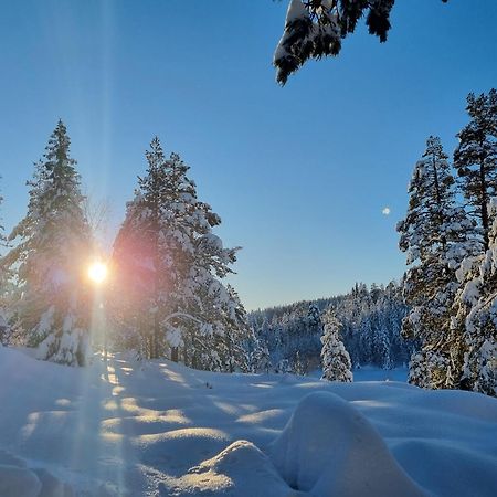 Ro I Sjelen. Hytte Til Leie Pa Skrim. Kongsberg Eksteriør billede