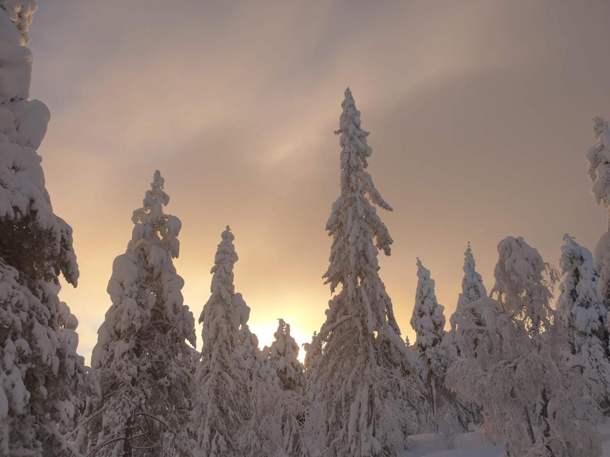 Ro I Sjelen. Hytte Til Leie Pa Skrim. Kongsberg Eksteriør billede