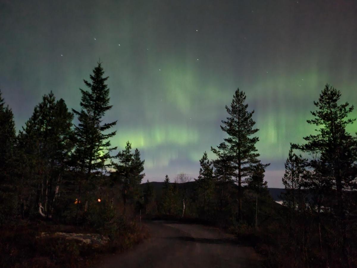 Ro I Sjelen. Hytte Til Leie Pa Skrim. Kongsberg Eksteriør billede
