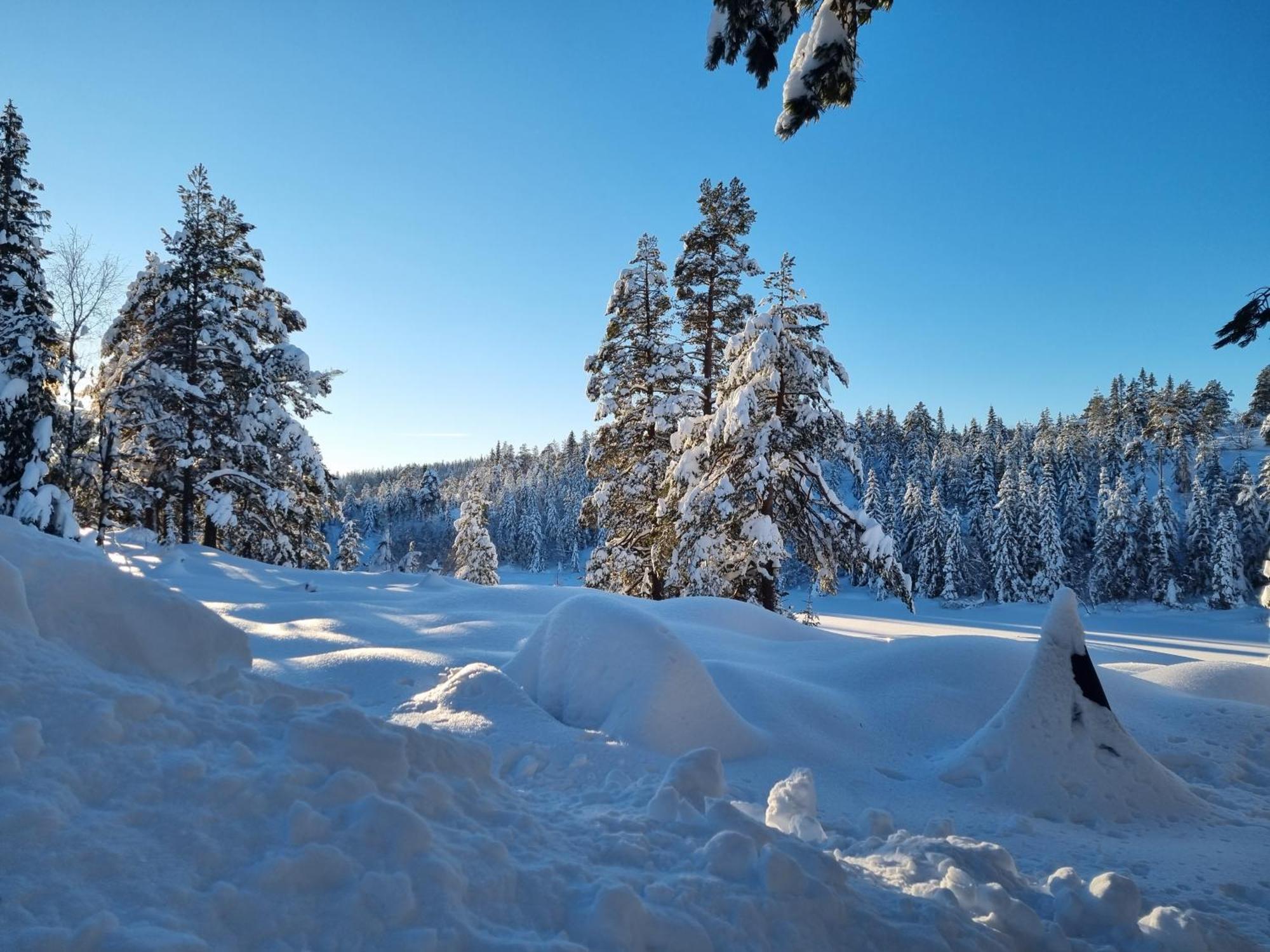 Ro I Sjelen. Hytte Til Leie Pa Skrim. Kongsberg Eksteriør billede