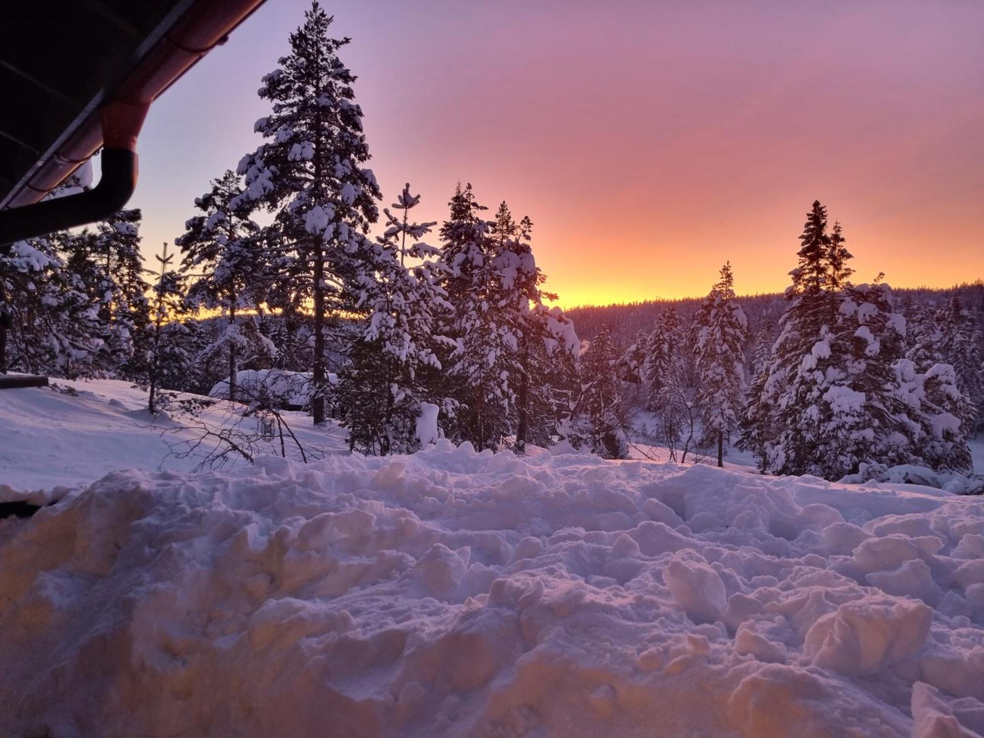 Ro I Sjelen. Hytte Til Leie Pa Skrim. Kongsberg Eksteriør billede