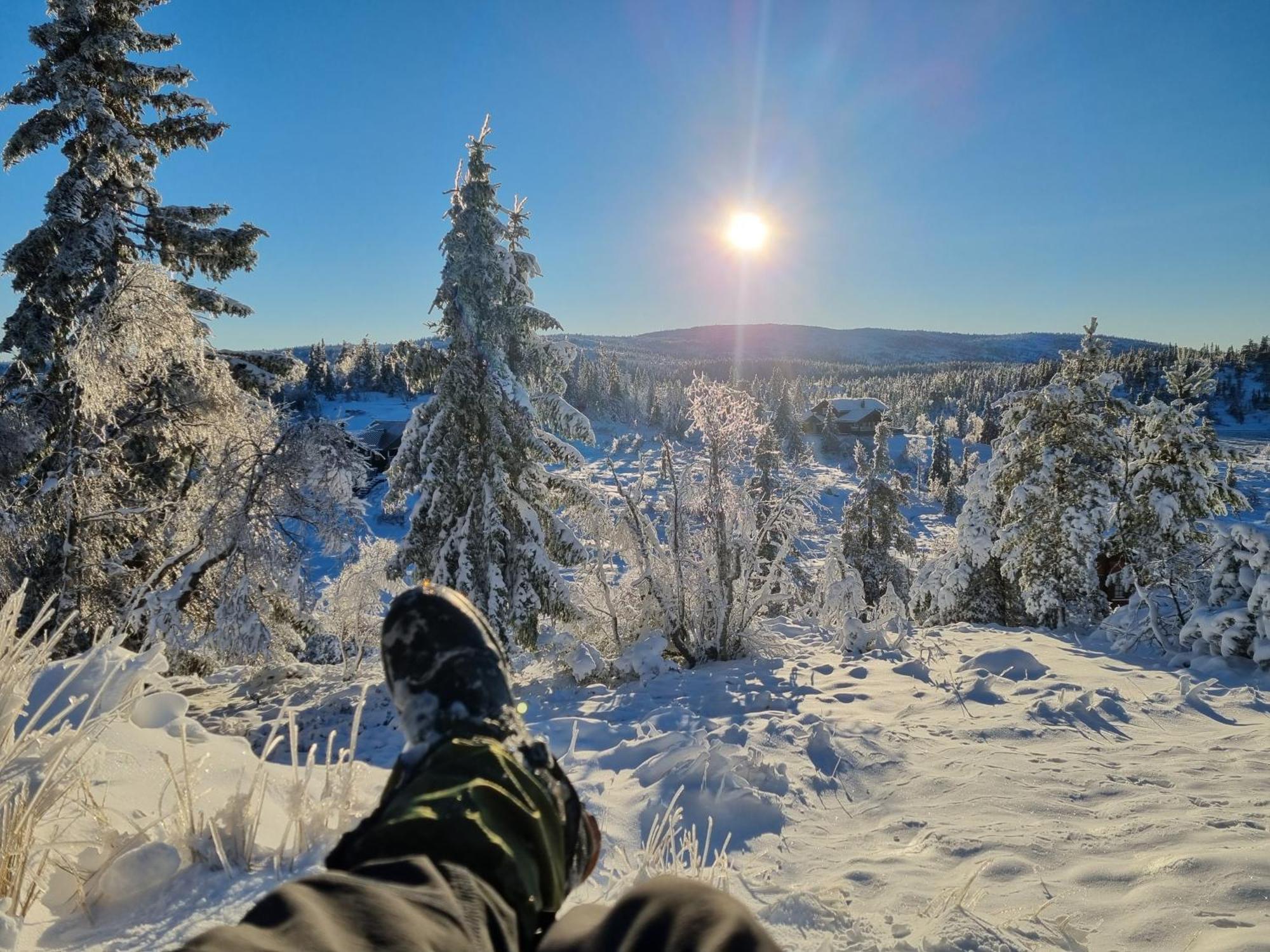 Ro I Sjelen. Hytte Til Leie Pa Skrim. Kongsberg Eksteriør billede