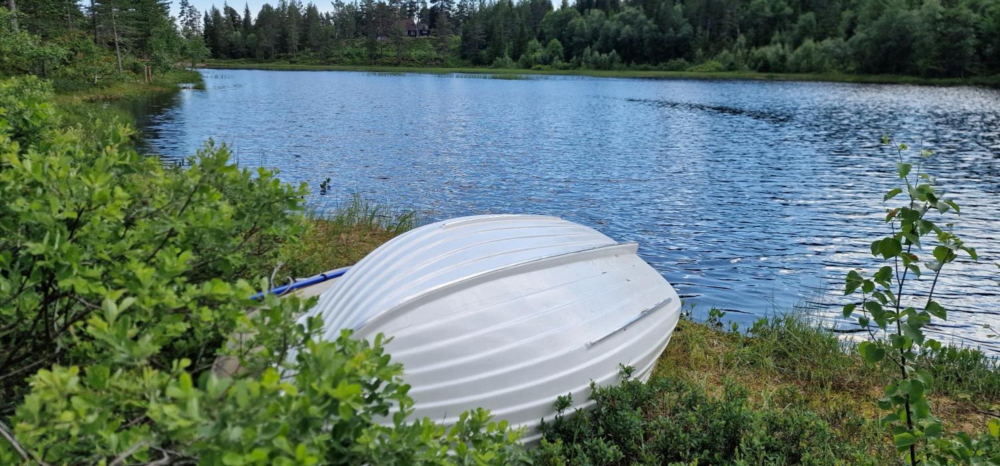 Ro I Sjelen. Hytte Til Leie Pa Skrim. Kongsberg Eksteriør billede
