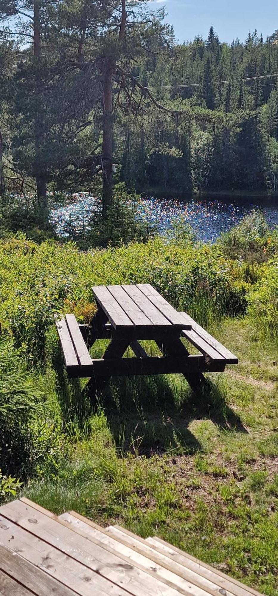 Ro I Sjelen. Hytte Til Leie Pa Skrim. Kongsberg Eksteriør billede